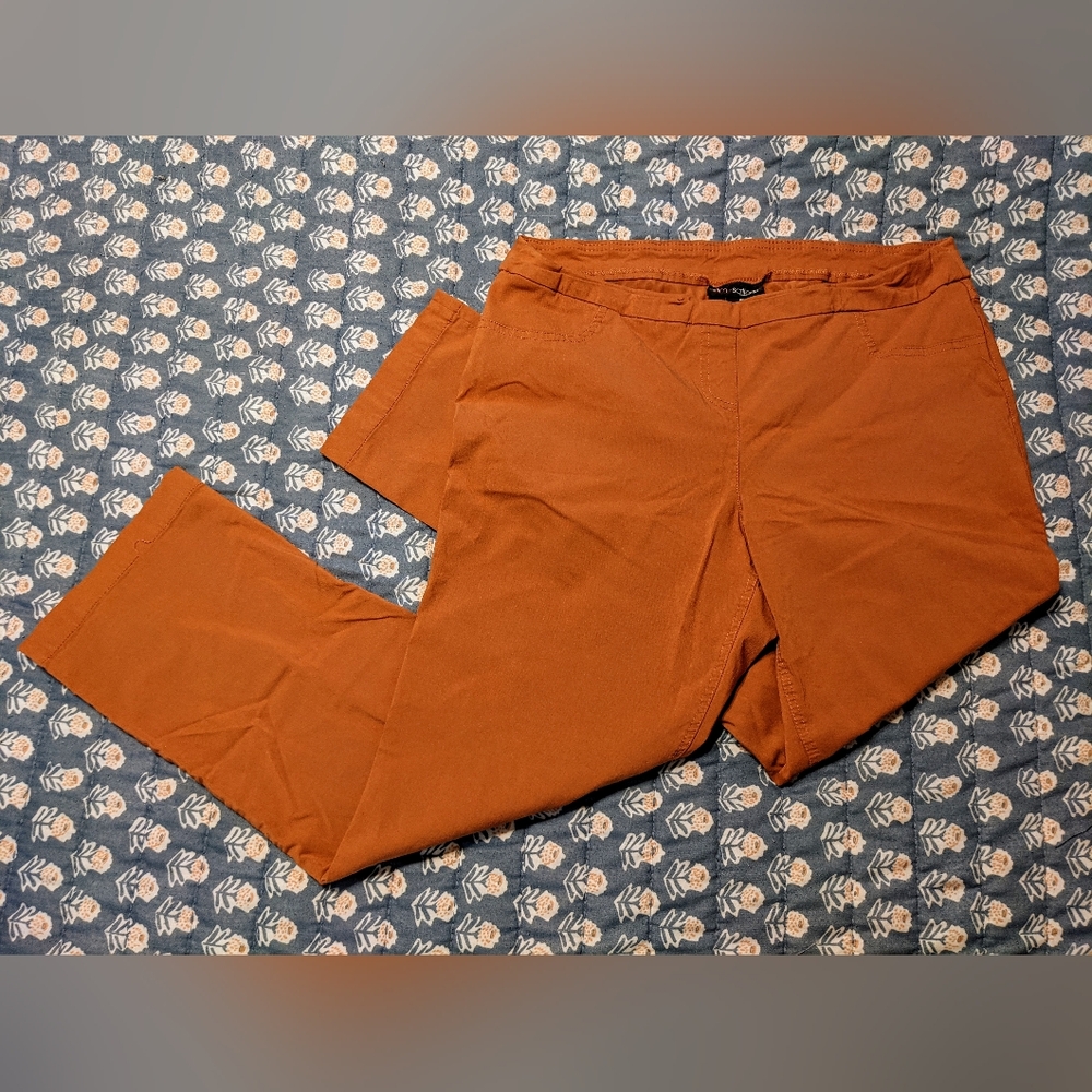 Slim-Sation Pull On Burnt Orange Ankle Pants sz 16P